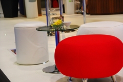 Wtm-1img_9944